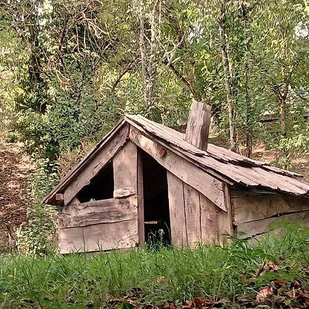 La Maison De Bois - Dans Un Site Preserve * Saint-Jean-et-Saint-Paul