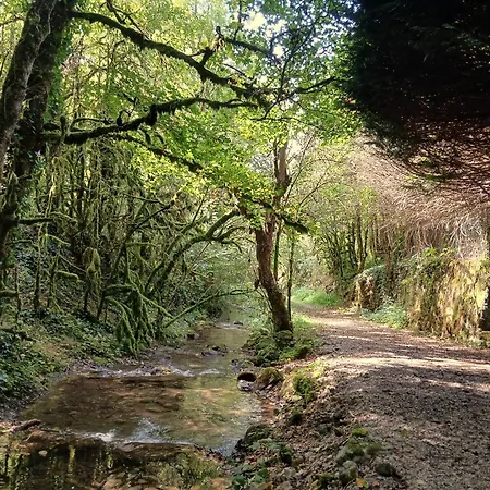 La Maison De Bois - Dans Un Site Preserve شاليه Saint-Jean-et-Saint-Paul