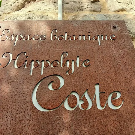 La Maison De Bois - Dans Un Site Preserve Saint-Jean-et-Saint-Paul